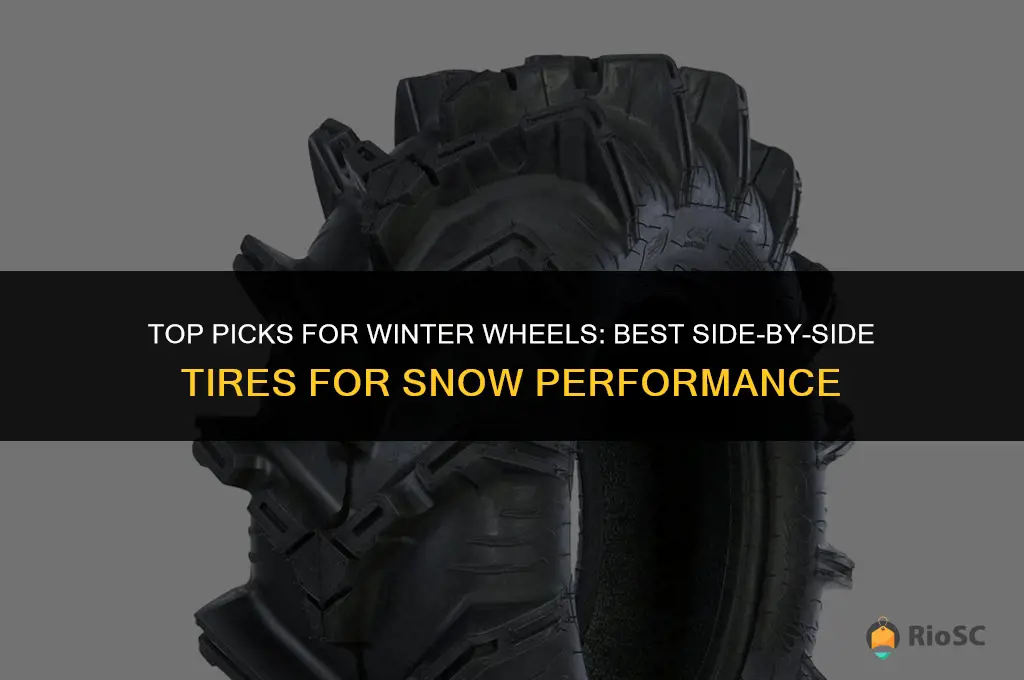 best side by side tires for snow