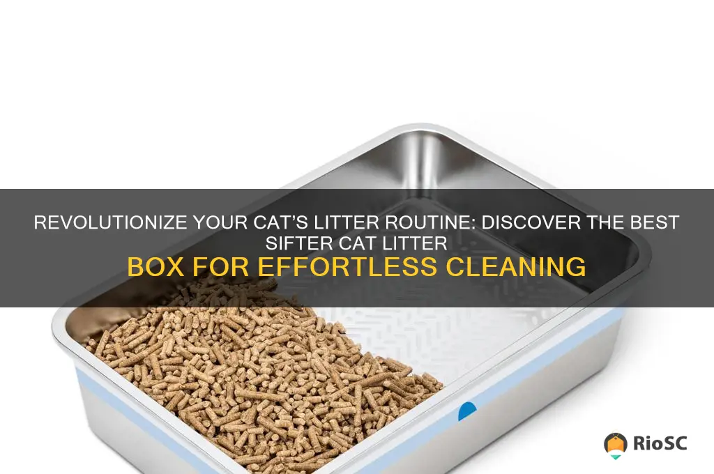 best sifter cat litter box