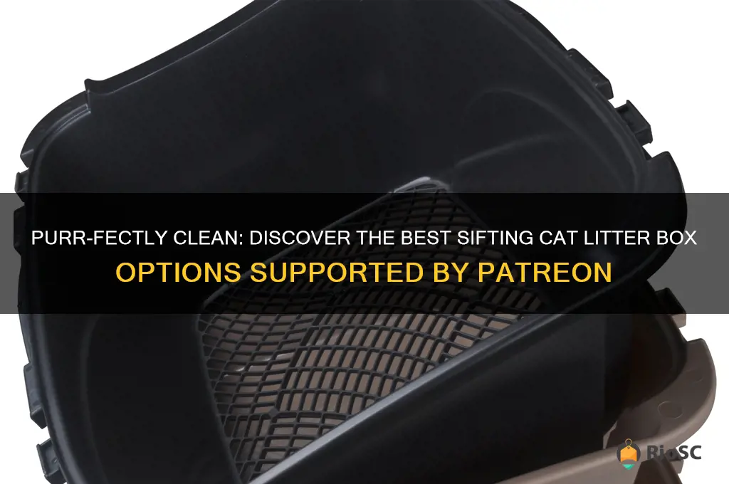 best sifting cat litter box patreon