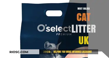 Top Silica Cat Litter Options in the UK: A Comprehensive Guide to the Best Choices for Your Feline Friend