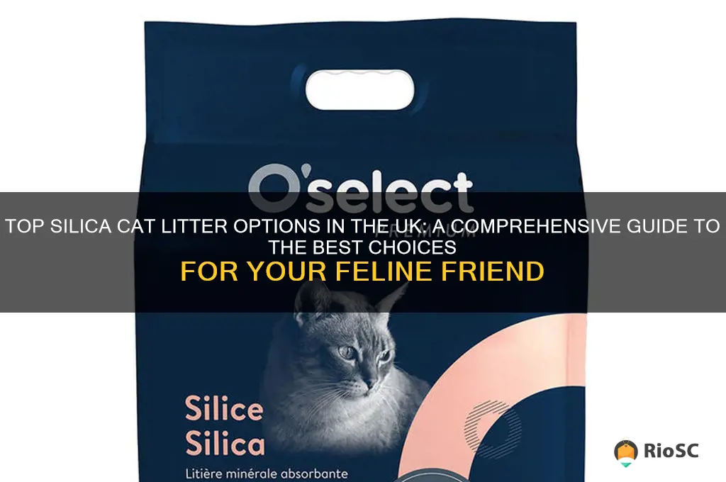 best silica cat litter uk