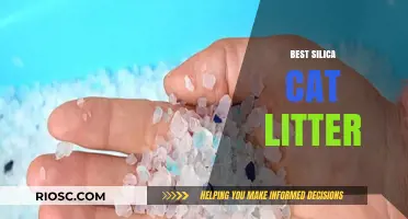 Top-Rated Silica Cat Litter: The Ultimate Guide to Choosing the Best Option for Your Feline Friend