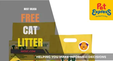 Top Silica-Free Cat Litter Options for a Healthier and Safer Litter Box
