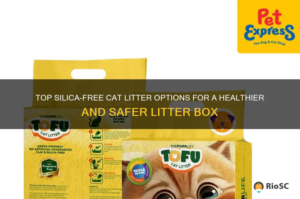 best silica free cat litter