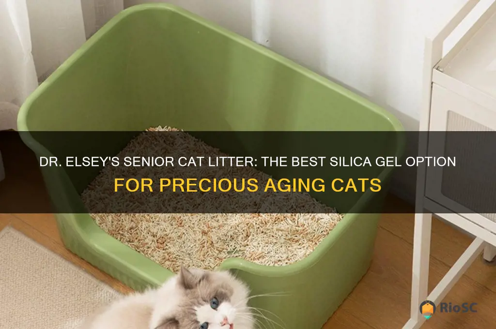 Picture Idea: Dr Elsey S Senior Cat Litter The Best Silica Gel