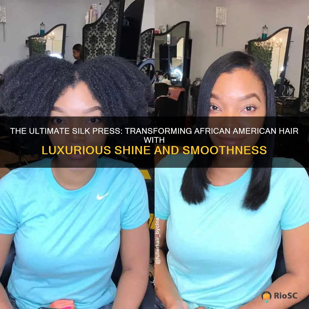 best silk press for african american hair