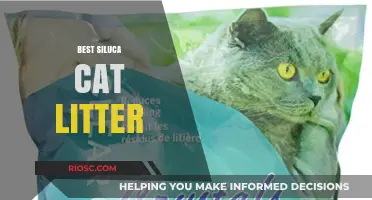 Top-Rated Silica Cat Litter: The Ultimate Choice for Odor Control and Easy Maintenance