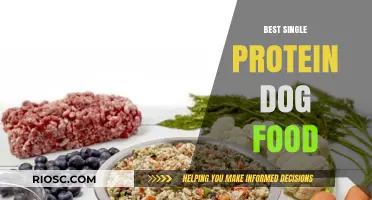 Top Picks for Single Protein Dog Food: Nutritious and Allergy-Friendly Options for Your Pup