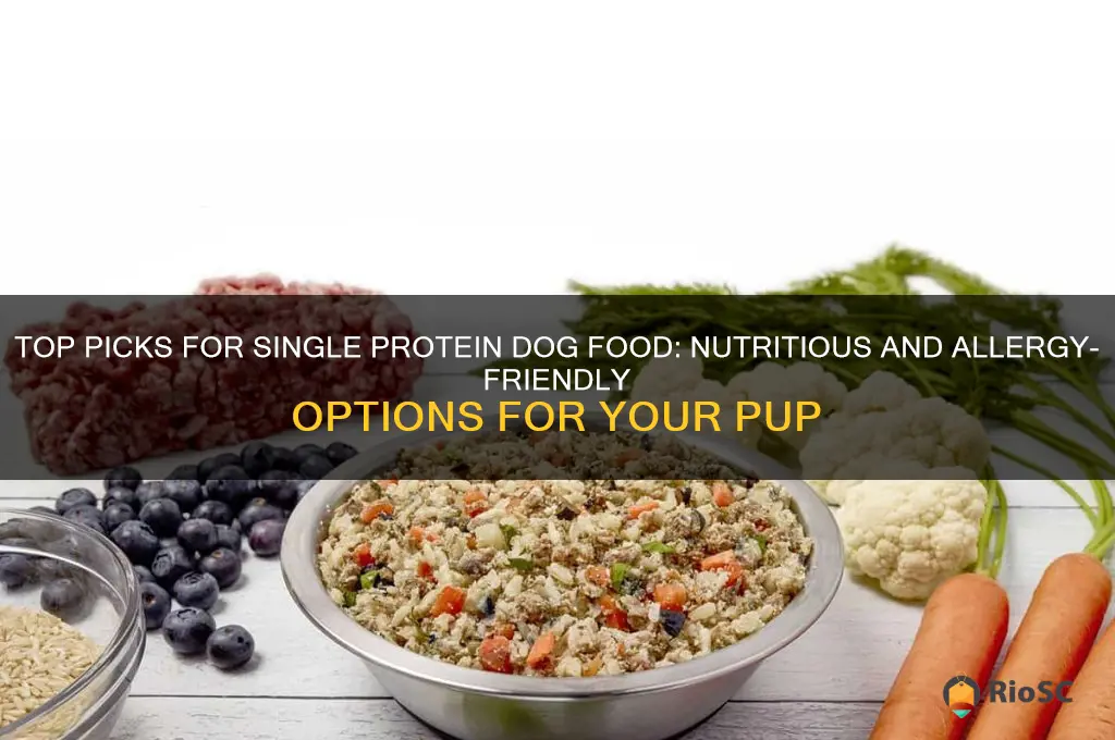 best single protein dog food