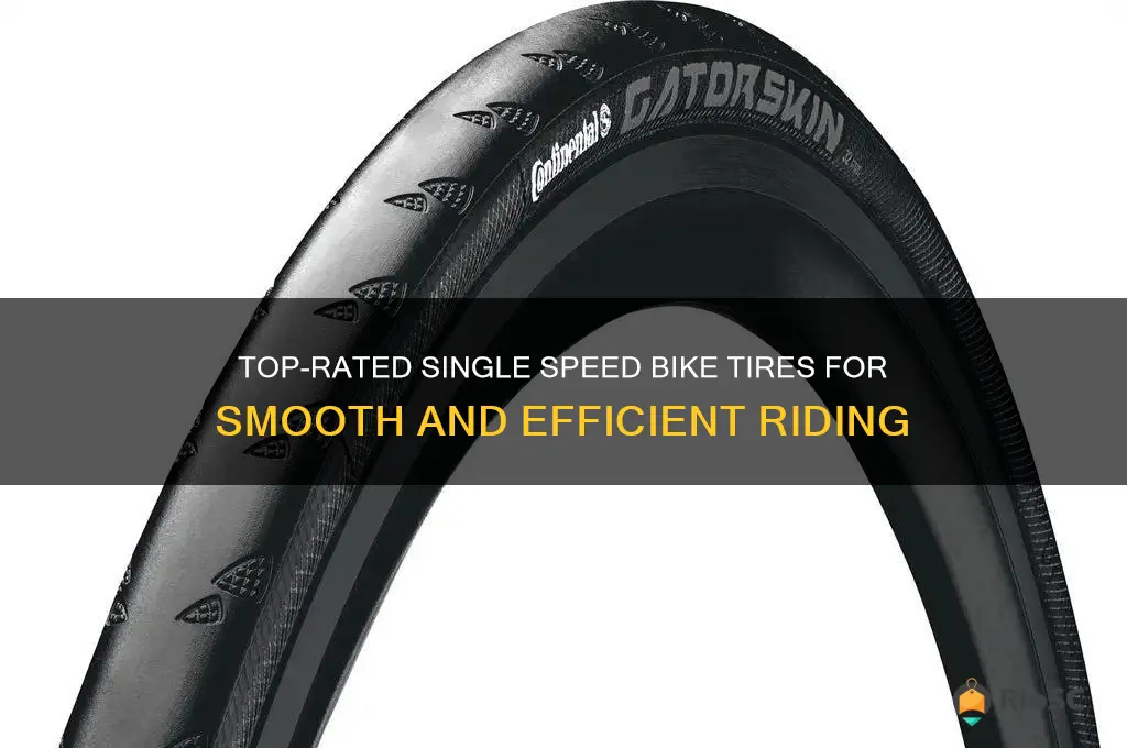 best single speed bike tires