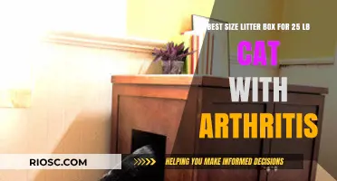 Choosing the Right Litter Box Size for a 25-Pound Arthritic Cat: Comfort and Accessibility Tips