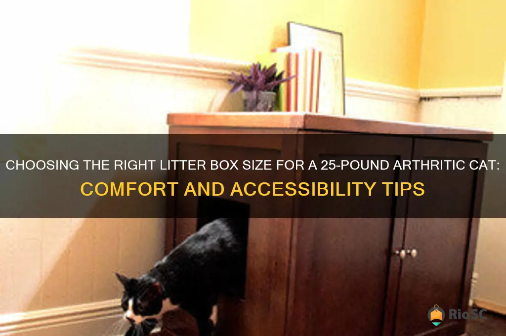 best size litter box for 25 lb cat with arthritis