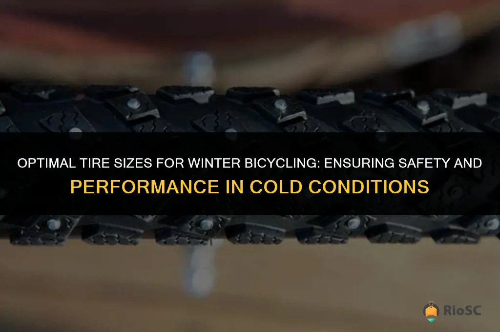best size tires for winter cold bicycling