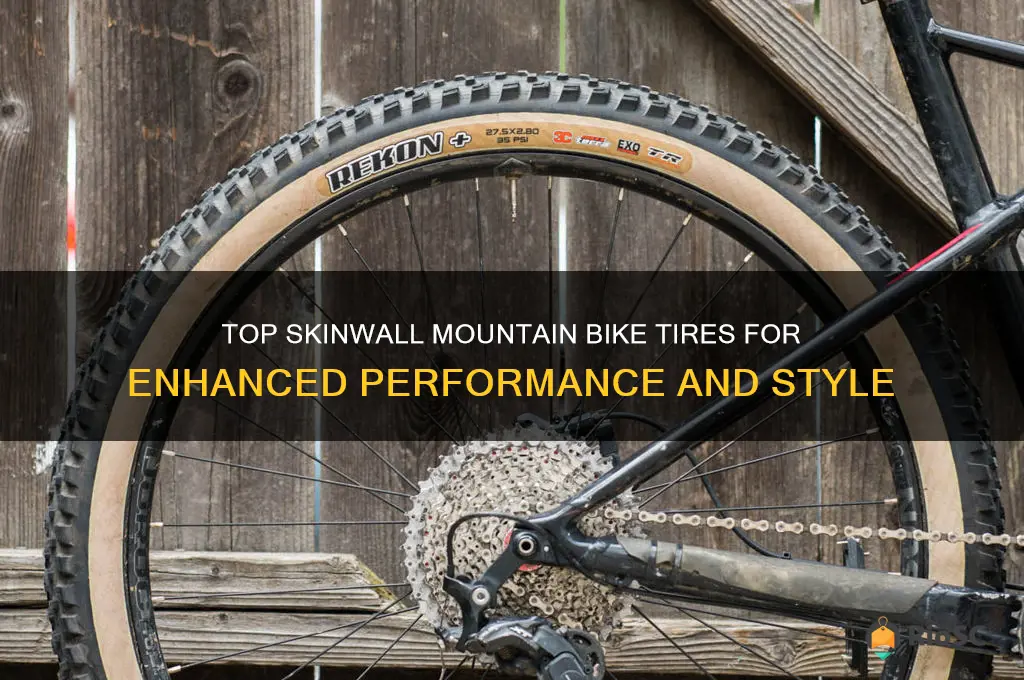 best skinwall mountain bike tires