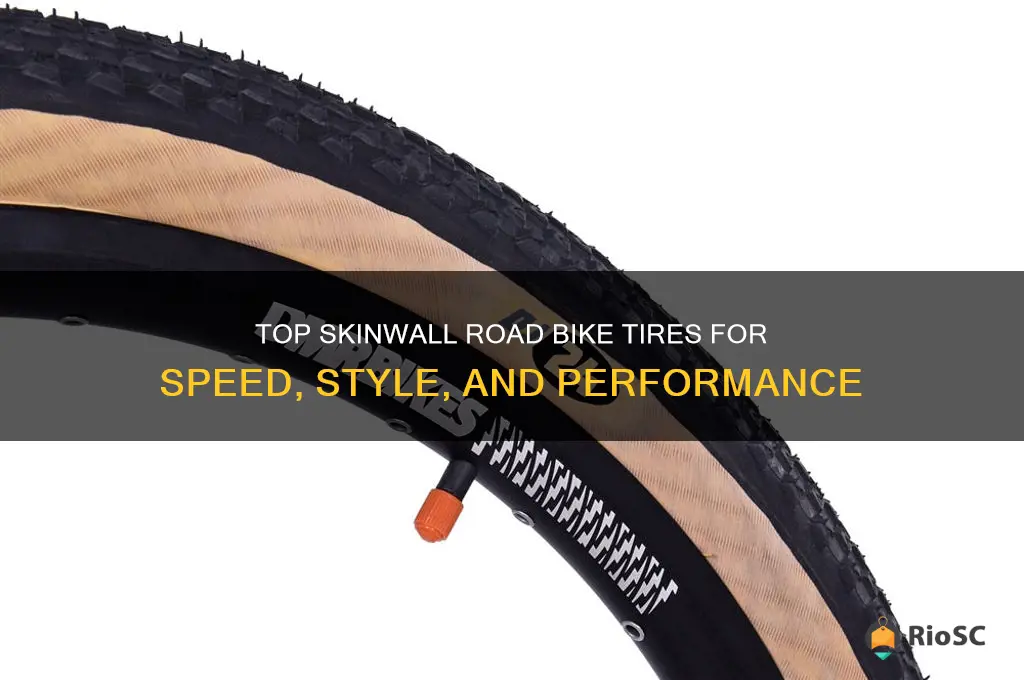 best skinwall road bike tires