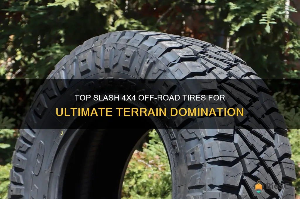 best slash 4x4 off road tires
