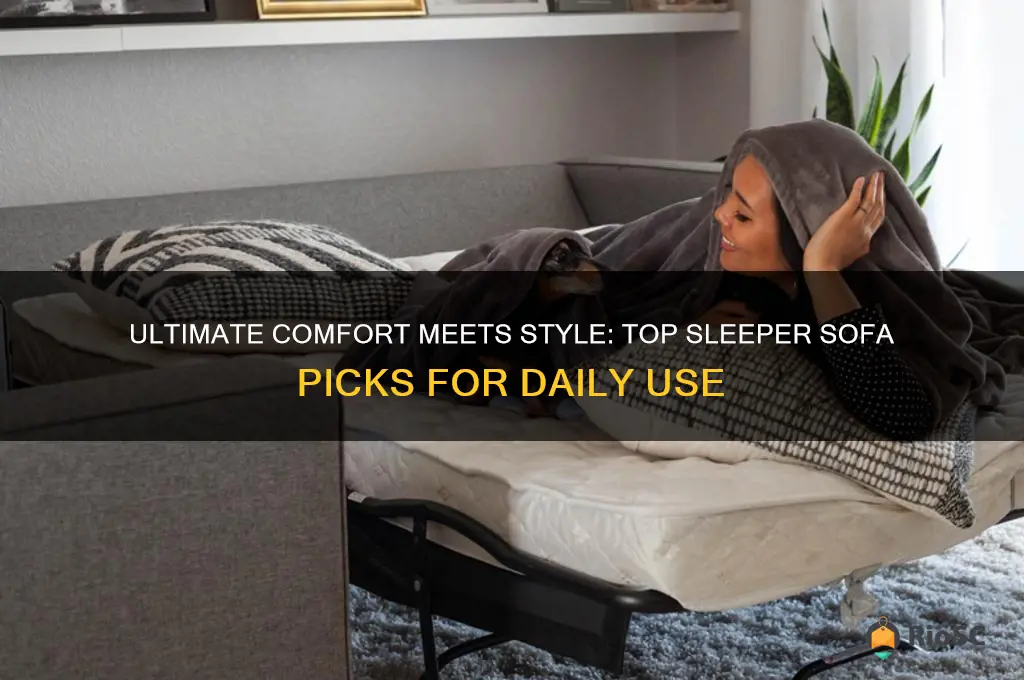 best sleeper sofa for everyday use