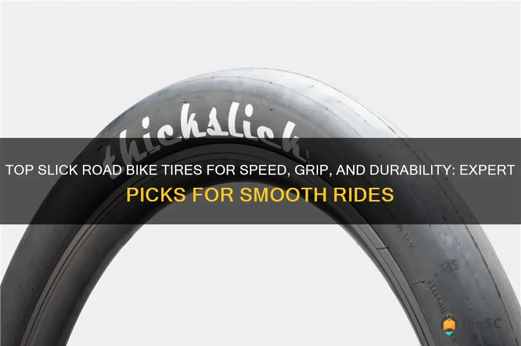 best slick road bike tires