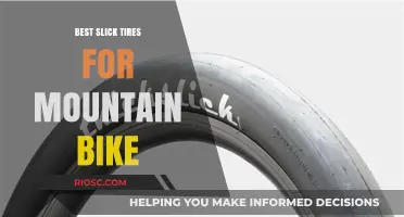 Top Slick Tire Picks for Mountain Biking: Speed, Control, and Durability