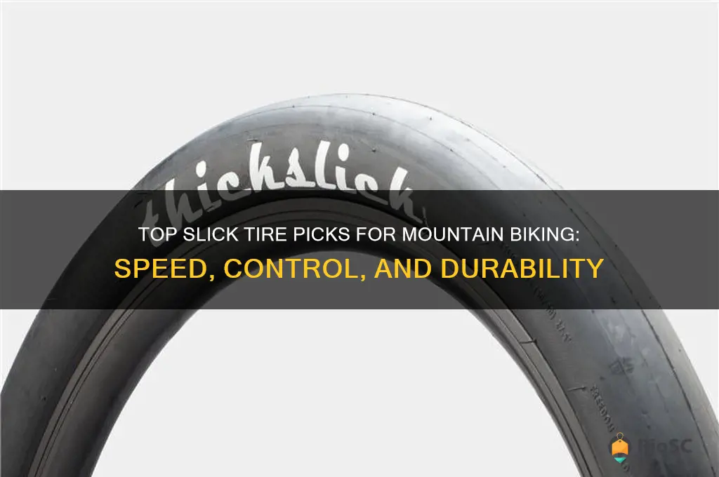 best slick tires for mountain bike
