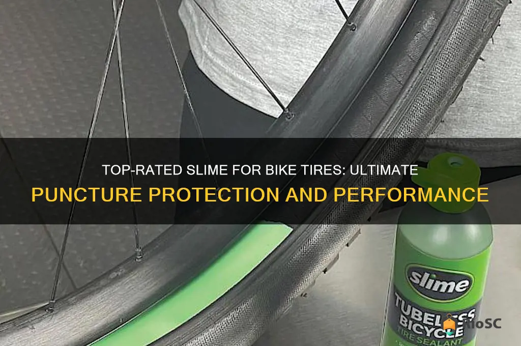 best slime for bike tires