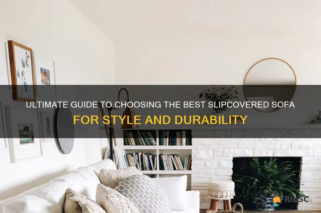 best slip covered sofa