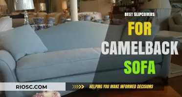 Elegant and Protective: Top Slipcover Picks for Your Camelback Sofa