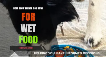 Top Slow Feeder Dog Bowls for Wet Food: Enhance Digestion and Mealtime for Your Pup