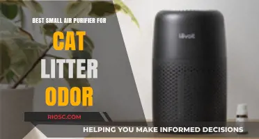Compact and Powerful: Top Small Air Purifier Solutions for Eliminating Cat Litter Odor