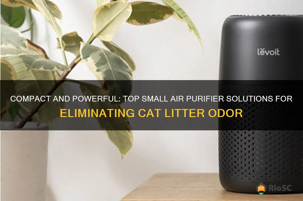 best small air purifier for cat litter odor