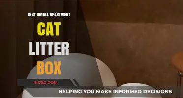 Compact and Efficient: Top Small Apartment Cat Litter Box Solutions