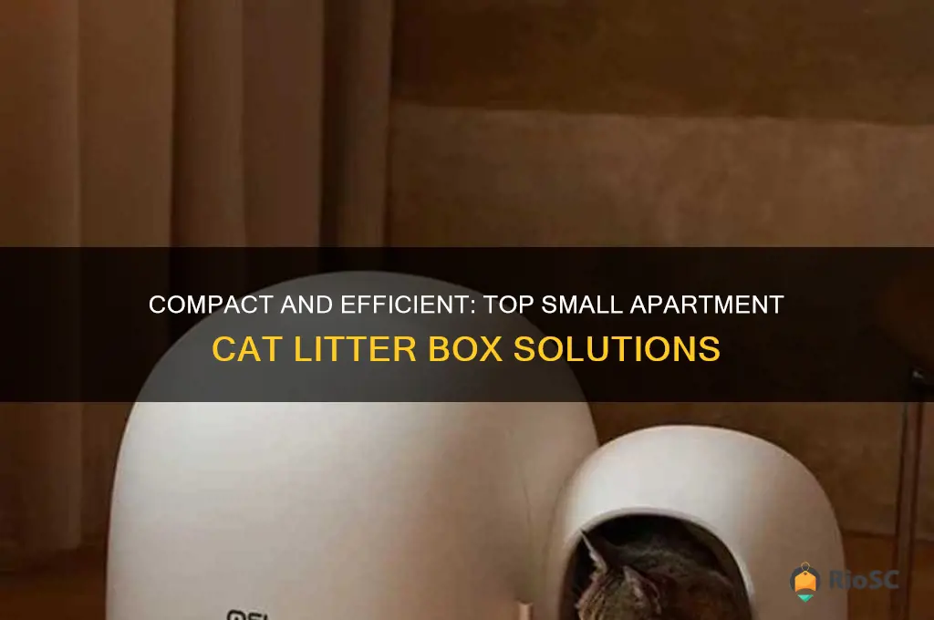 best small apartment cat litter box