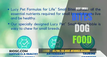 Top Small Bites Dog Food Options for Healthy and Happy Pups