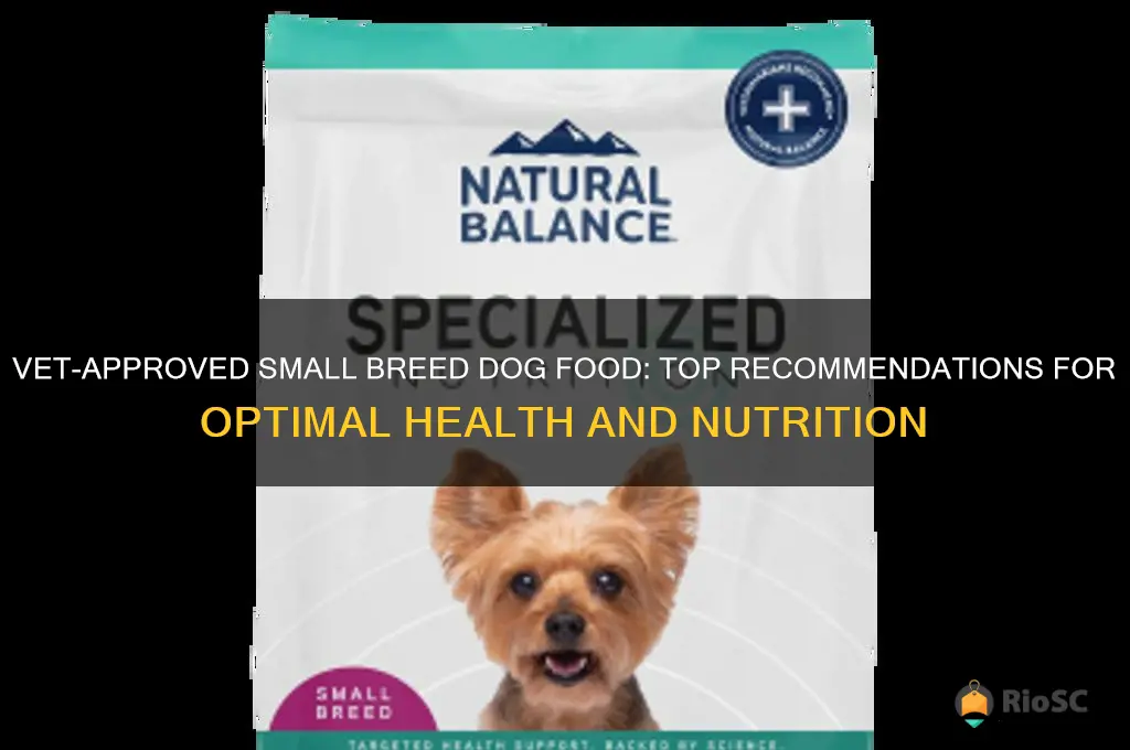 best small breed dog food recommended by vets