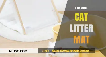 Top Picks for the Best Small Cat Litter Mat to Keep Your Home Clean and Tidy