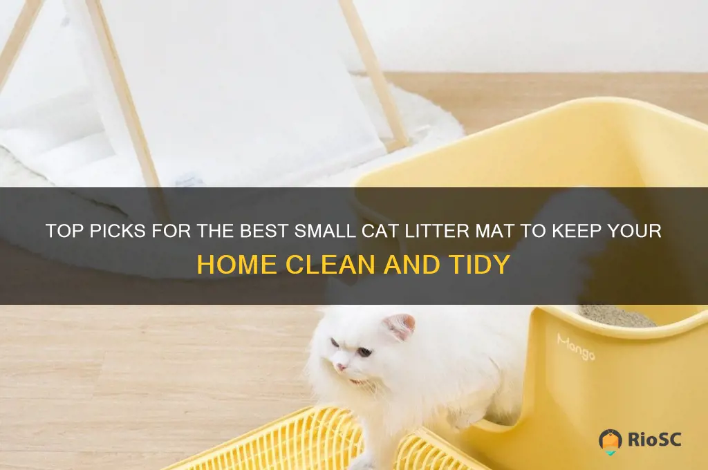 best small cat litter mat