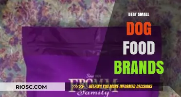 Top-Rated Small Dog Food Brands for Optimal Nutrition and Health