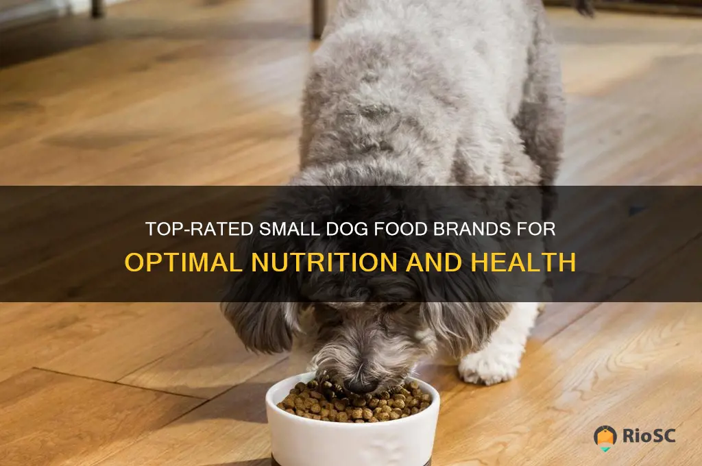 best small dog food brands