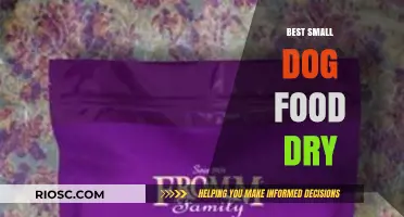 Top-Rated Dry Dog Food Options for Small Breeds: Nutrition and Taste Combined