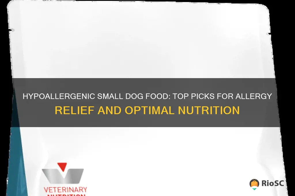 best small dog food for allergies