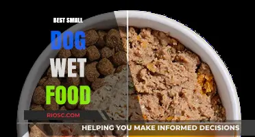 Top-Rated Wet Food Options for Small Dogs: Nutrition and Taste Combined