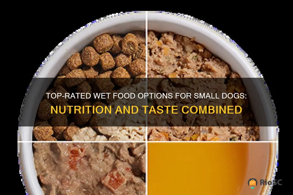 best small dog wet food