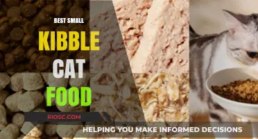 Top Picks for Tiny Tummies: The Best Small Kibble Cat Foods for Optimal Nutrition