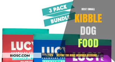 Top Small Kibble Dog Food Options for Optimal Nutrition and Digestive Health