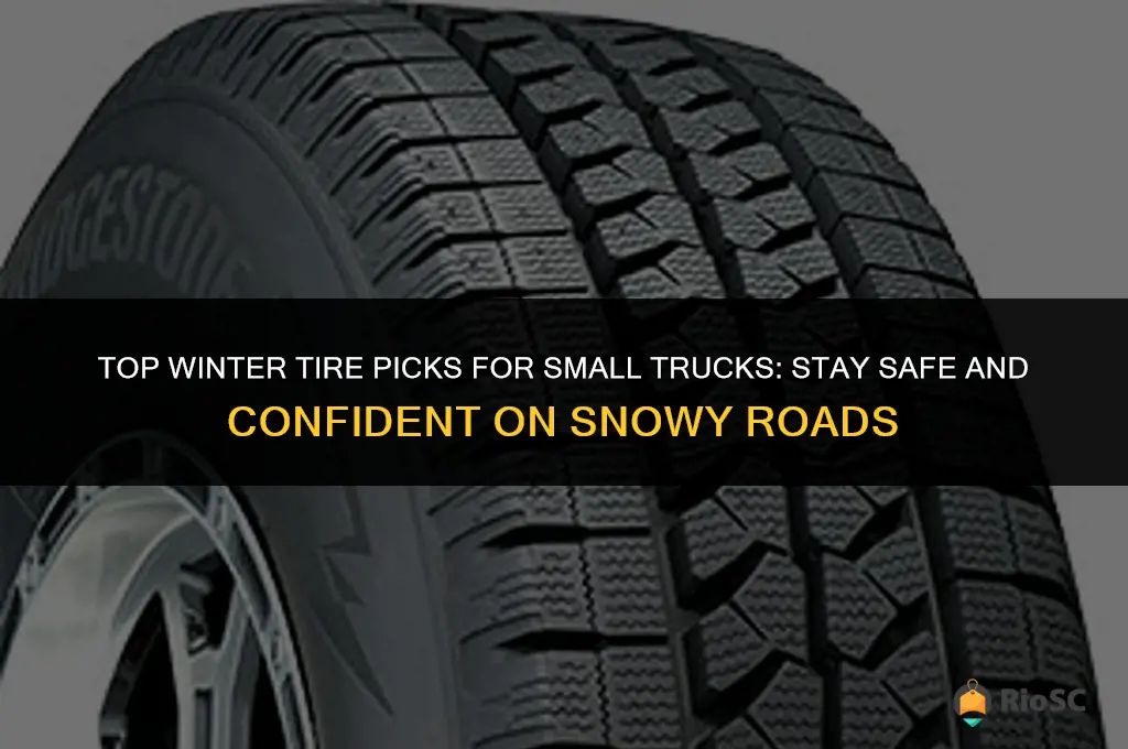 best small truck winter tires