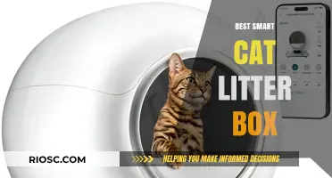 Revolutionize Your Cat Care: Discover the Best Smart Cat Litter Box for Effortless Cleaning and Happy Cats