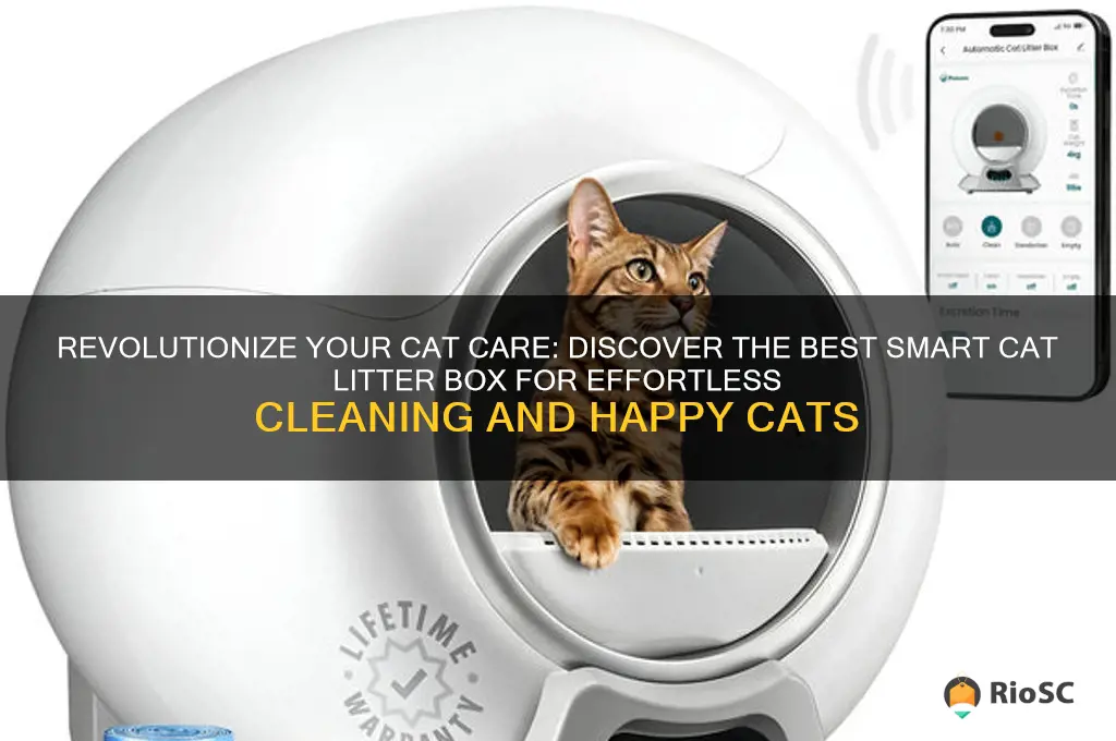 Revolutionize Your Cat Care: Discover The Best Smart Cat Litter Box For ...