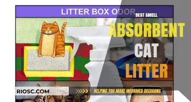 Top Odor-Neutralizing Cat Litters: Best Smell Absorbent Options for a Fresh Home
