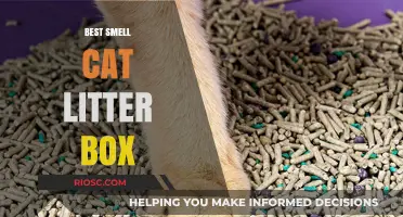 Fresh and Clean: Discover the Best Smell-Neutralizing Cat Litter Boxes for Odor-Free Homes