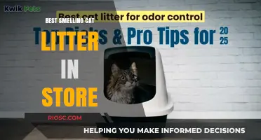 Fresh and Clean: Discover the Best Smelling Cat Litter Available in Stores